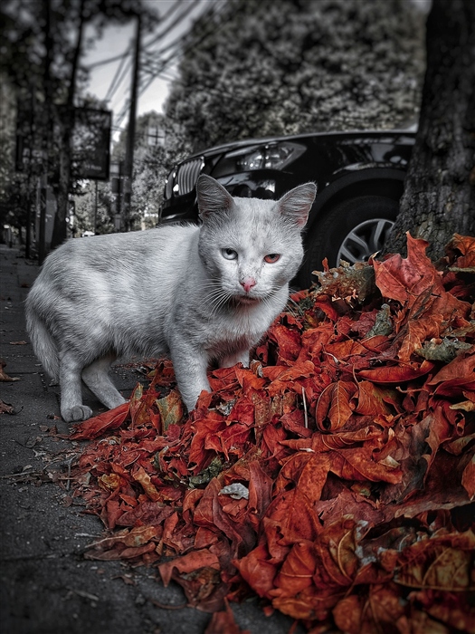 Фото жизнь