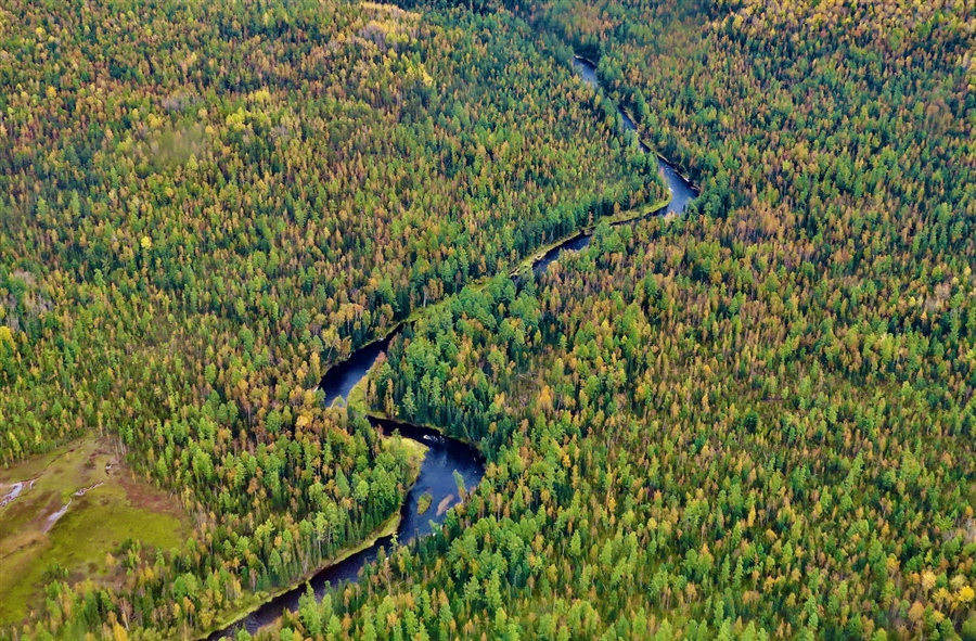 Фото жизнь