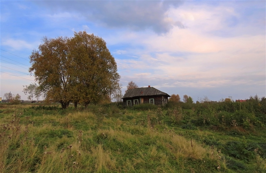 Фото жизнь