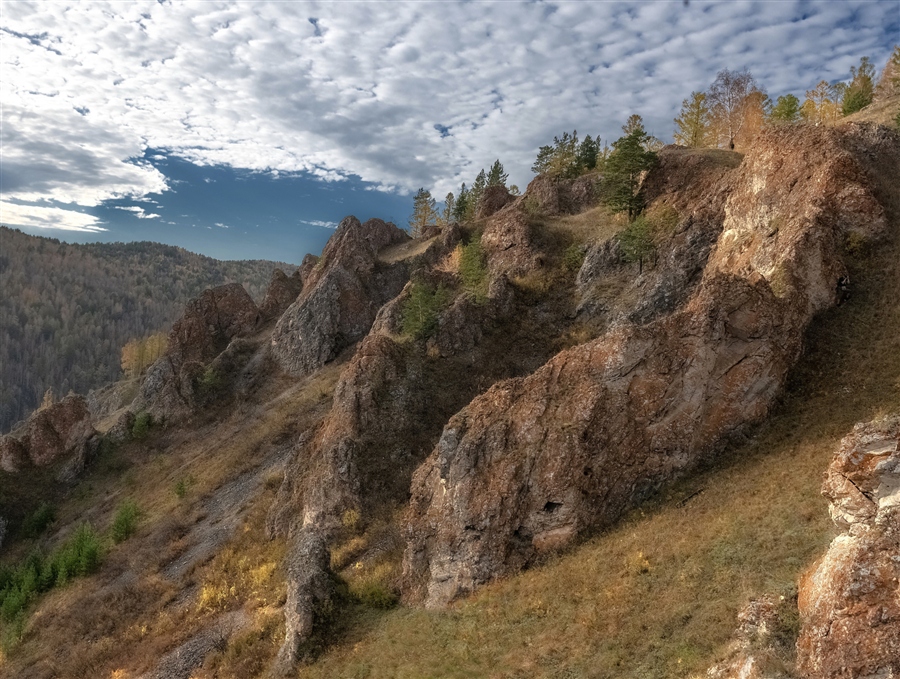 Фото жизнь