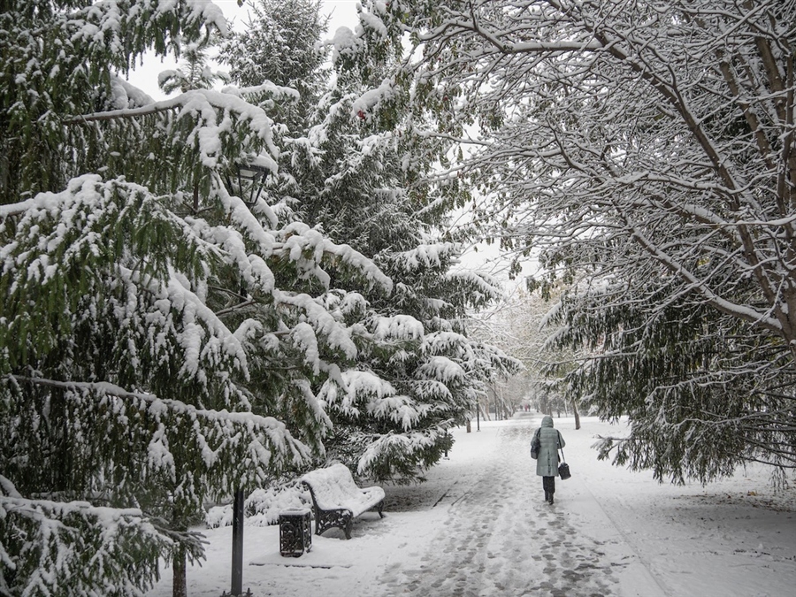 Фото жизнь