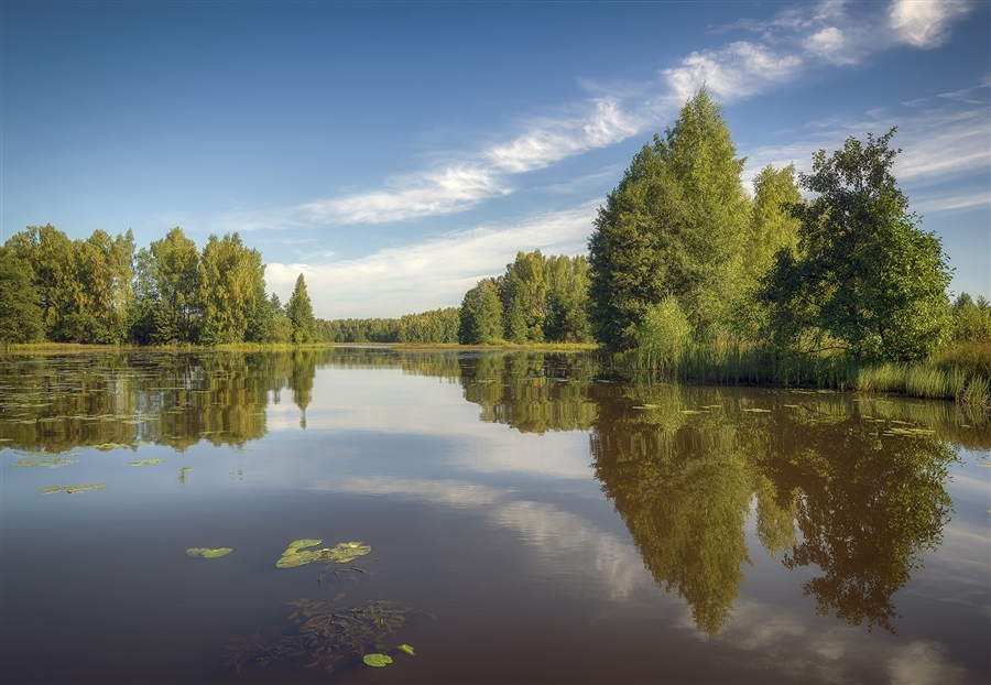 Фото жизнь