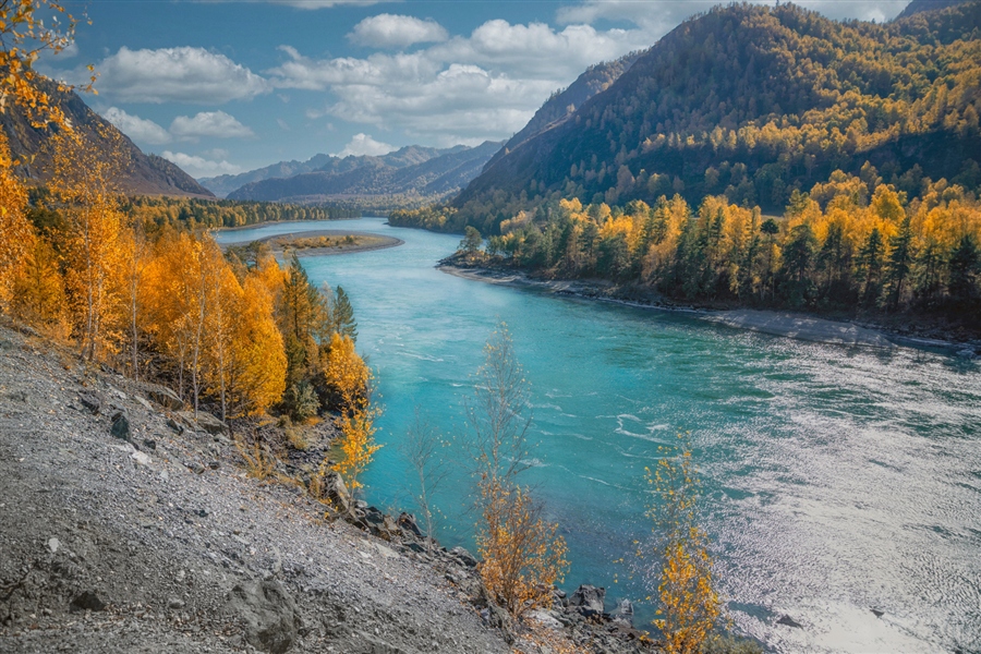 Фото жизнь