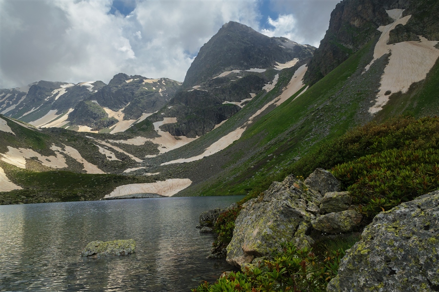Фото жизнь