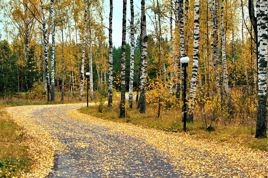 Фото жизнь