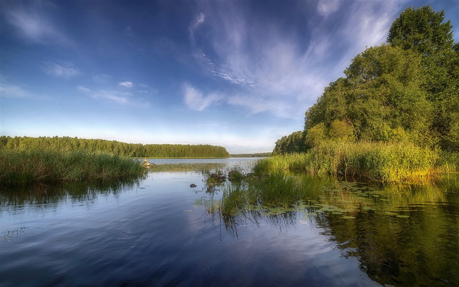 Фото жизнь