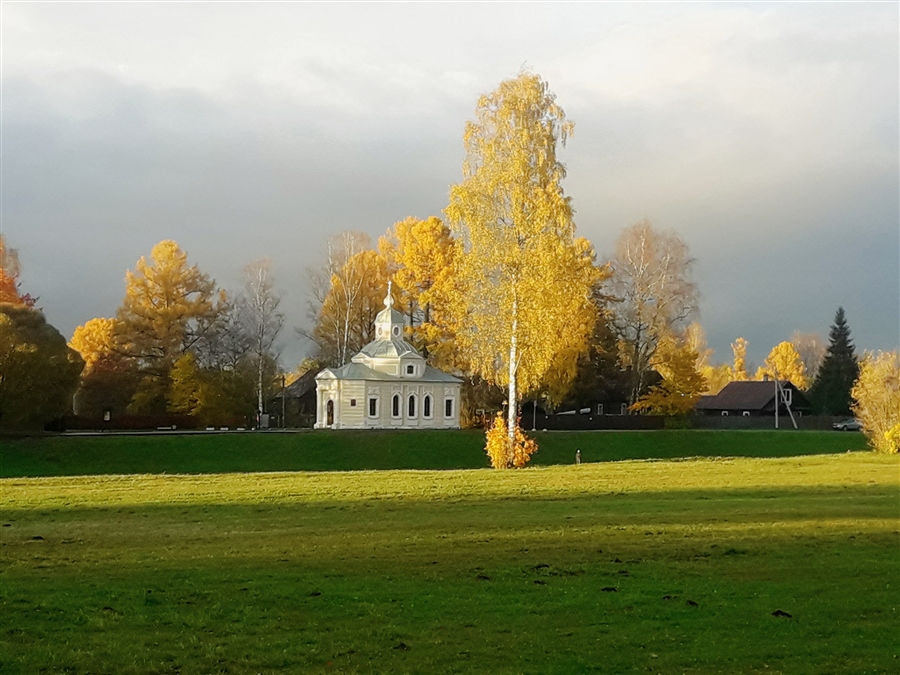 Фото жизнь