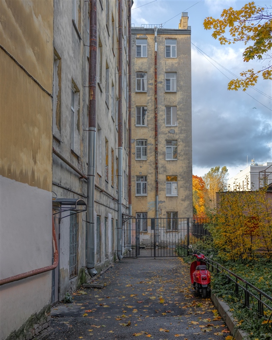Фото жизнь