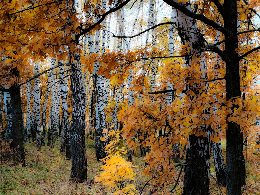Фото жизнь