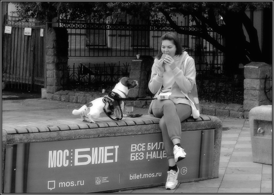 Фото жизнь