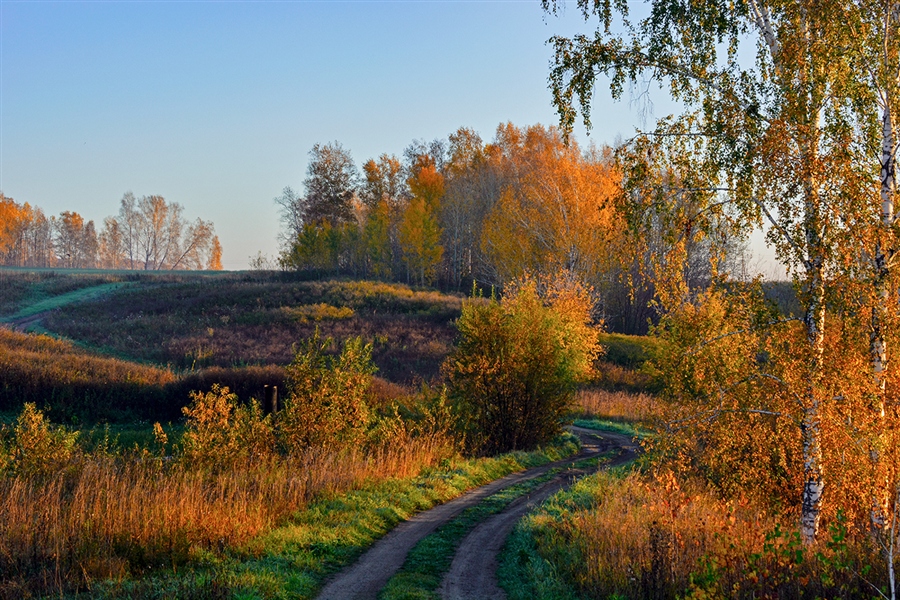 Фото жизнь