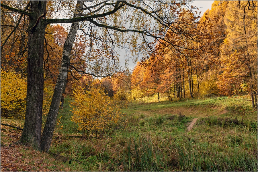 Фото жизнь