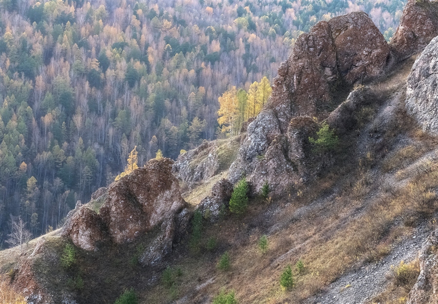 Фото жизнь