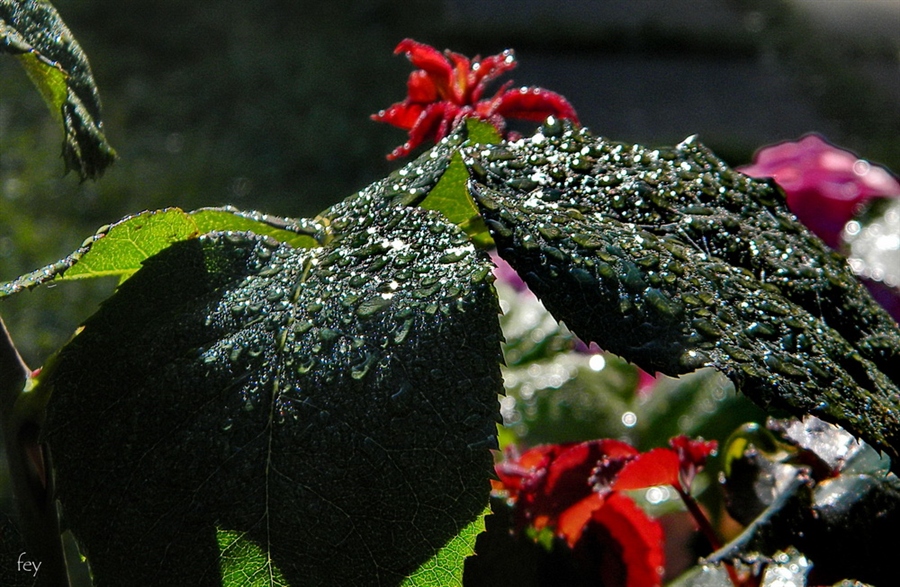 Фото жизнь