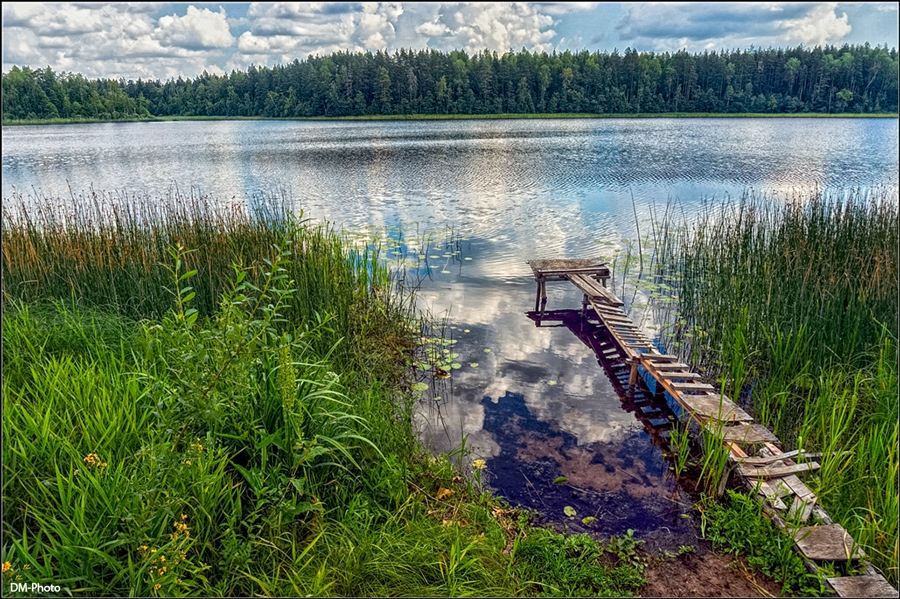 Фото жизнь