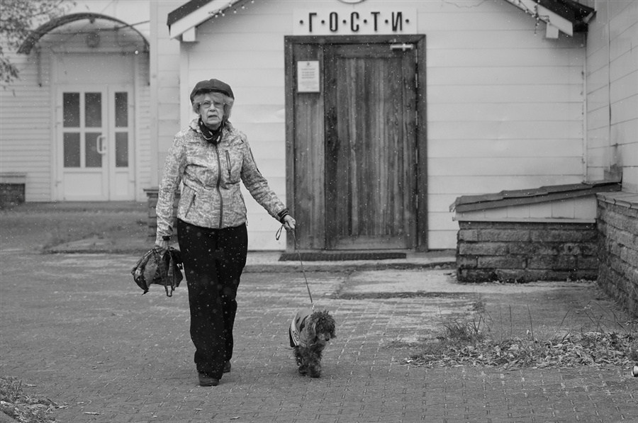 Фото жизнь
