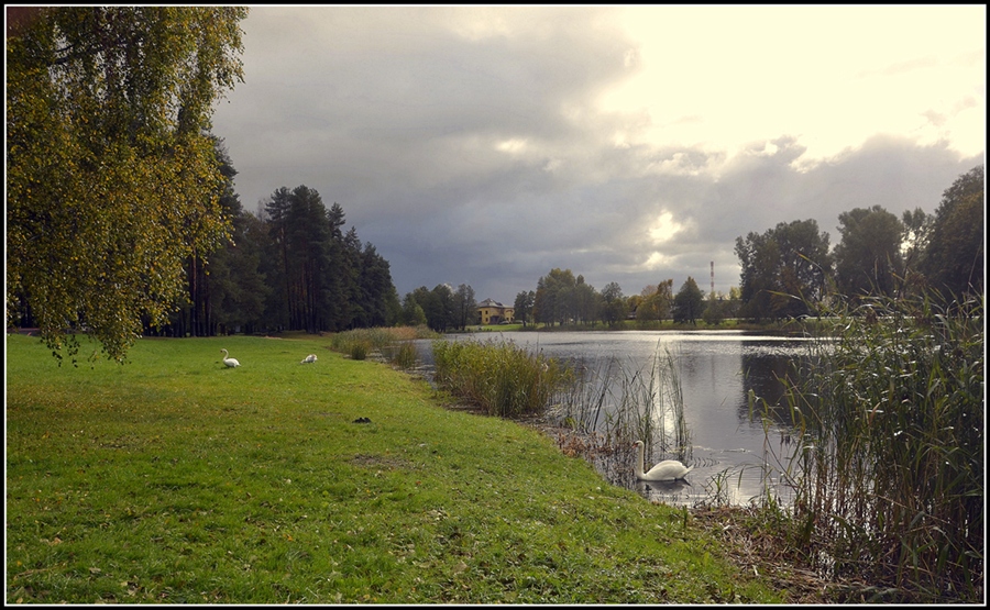 Фото жизнь