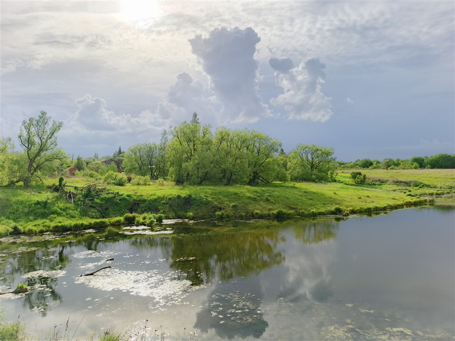 Фото жизнь