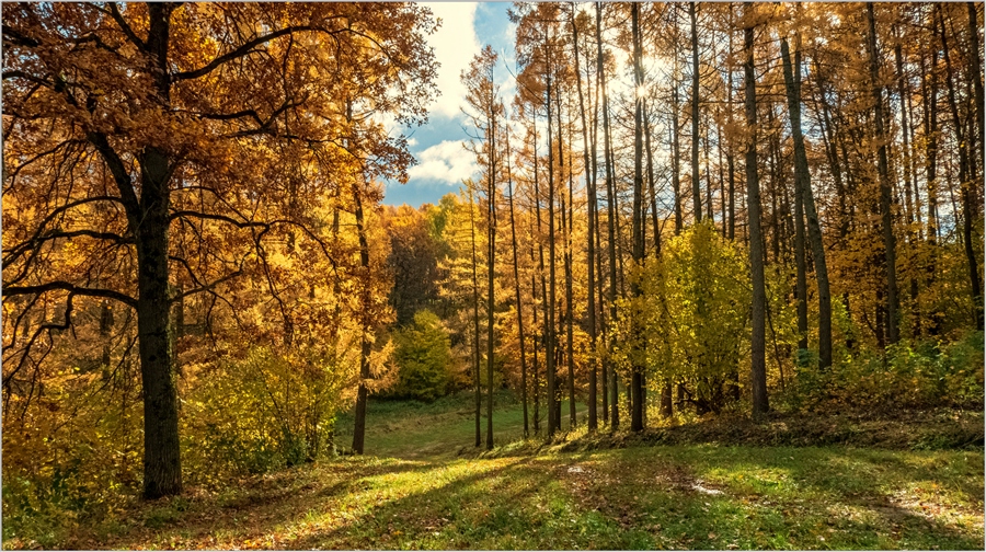 Фото жизнь