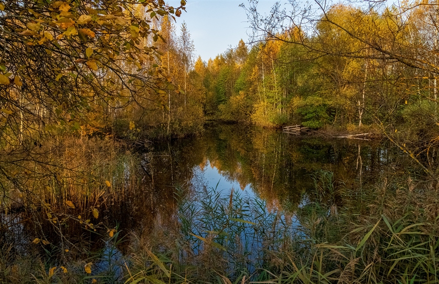 Фото жизнь