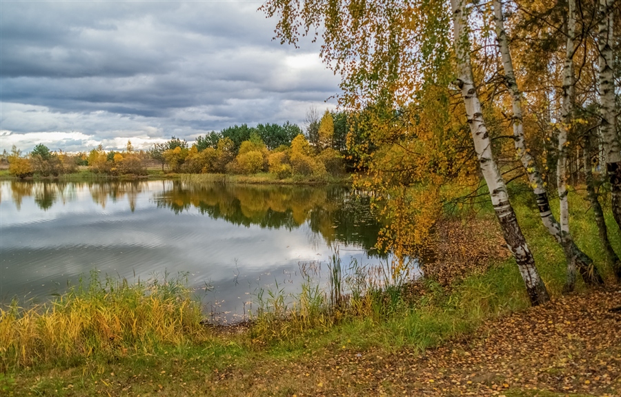 Фото жизнь
