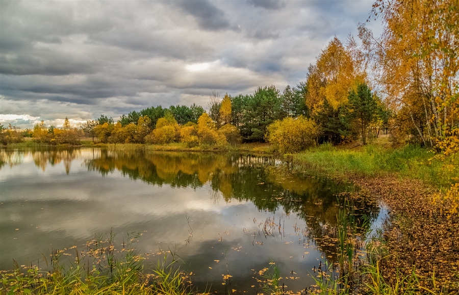 Фото жизнь