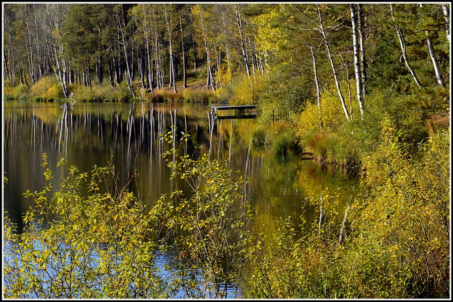 Фото жизнь