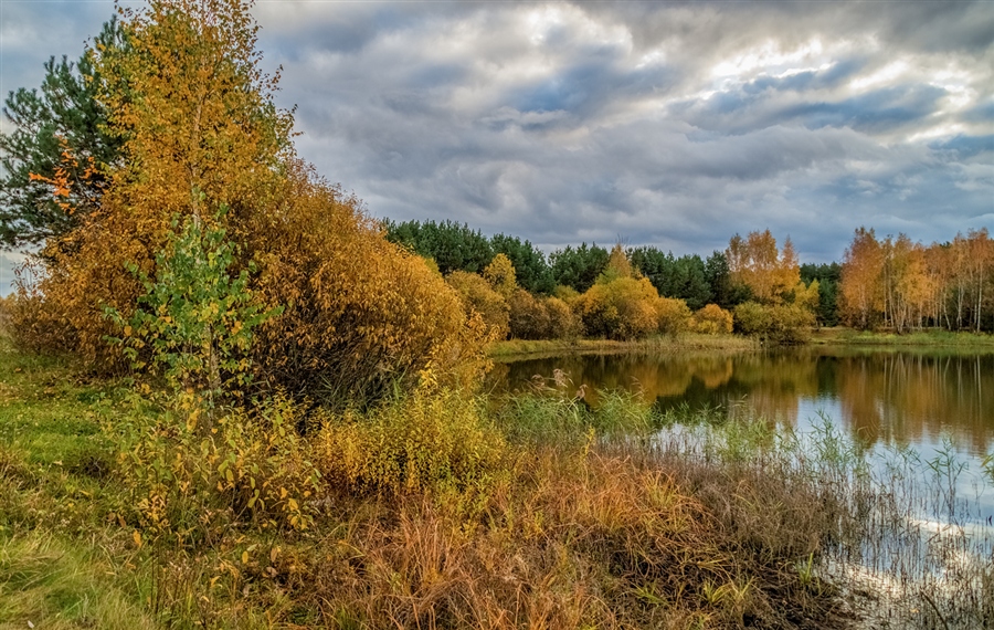 Фото жизнь