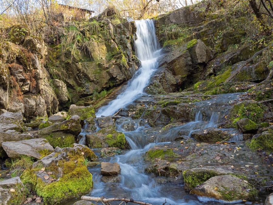 Фото жизнь