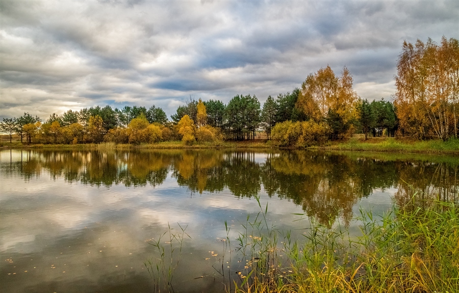Фото жизнь