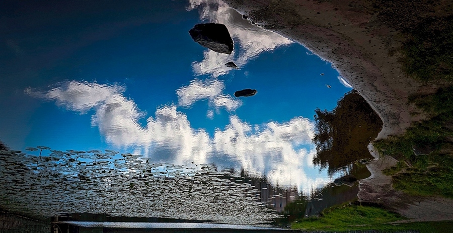 Фото жизнь