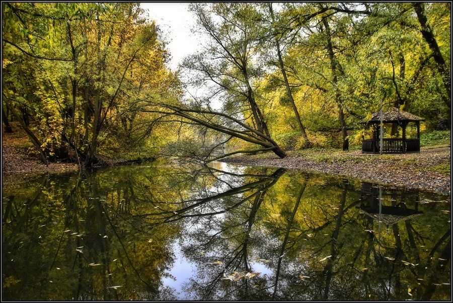 Фото жизнь