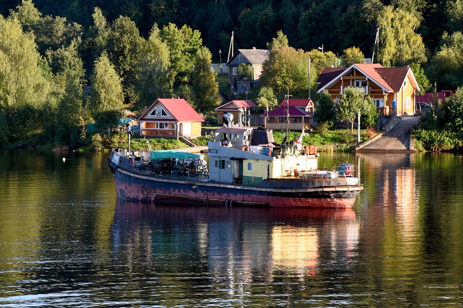 Фото жизнь