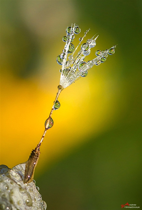 Ранним утром...