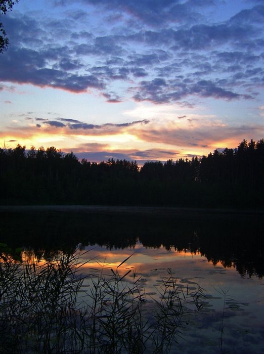 Фото жизнь