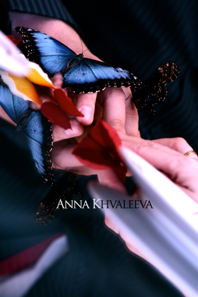 Фото жизнь (light) - dorAnnie - Wedding - Бабочки