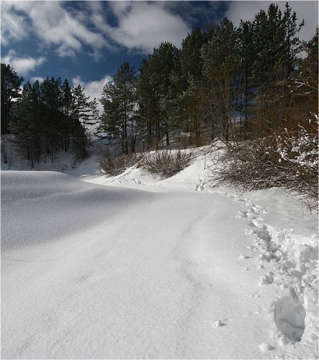 Фото жизнь