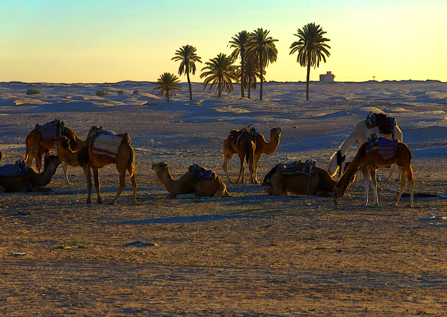 Фото жизнь - PhotoSD - Тунис - Сахара