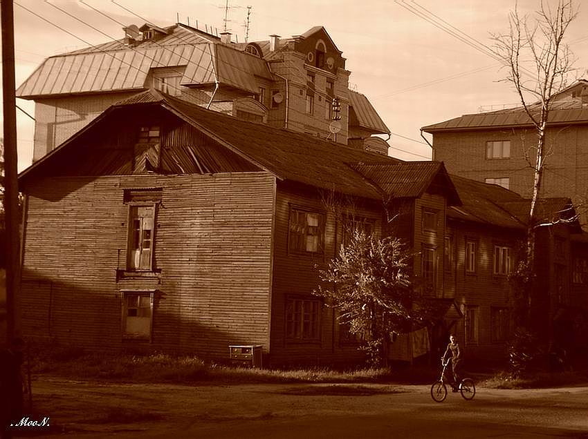 Фото жизнь (light) - Татьяна • Л у н А • Мялковская - корневой каталог - Просто жизнь )