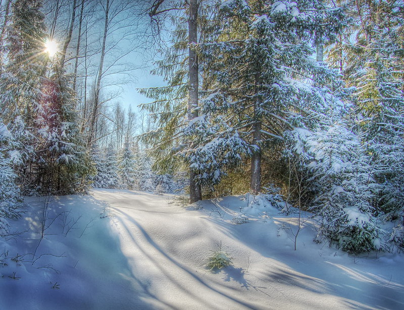 Фото жизнь (light) - Павел Преснов - Пейзаж - ***