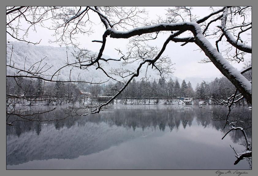 Фото жизнь (light) - Ольга Мазлова - природа - ...