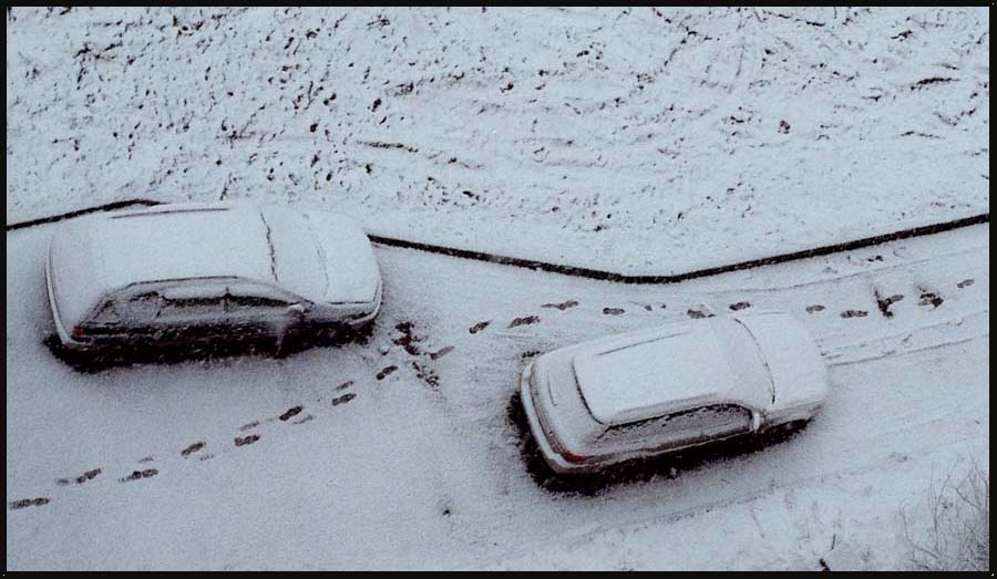 Фото жизнь - Rada - корневой каталог - Следы на снегу