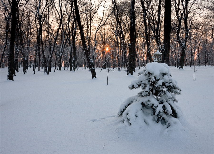 Фото жизнь