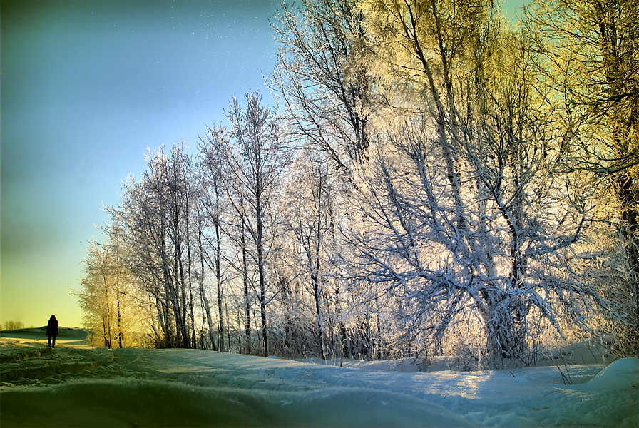 Фото жизнь