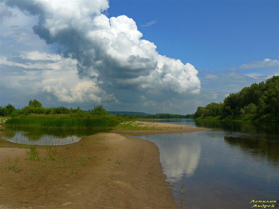 Фото жизнь