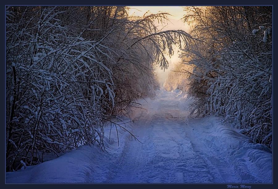 Фото жизнь