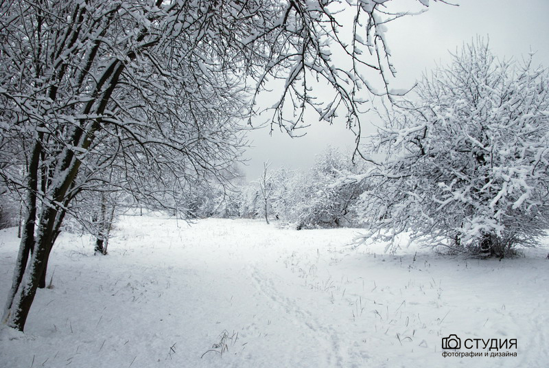 Фото жизнь - Studiya-foto - корневой каталог - Снега