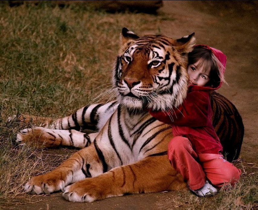 Фото жизнь (light) - Сергей Уланов - Дети и звери (коллажи) - Друзья...