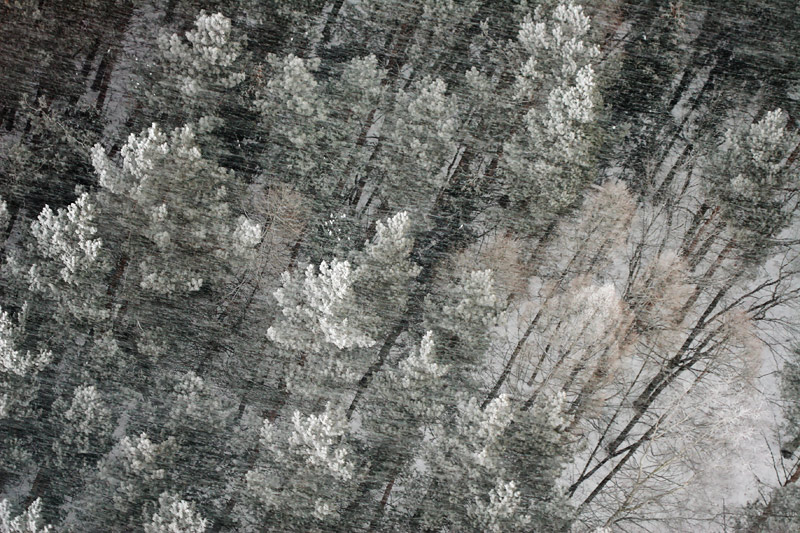 Фото жизнь (light) - Сергей Макаренков - Сверху вниз - Елки, палки и снега