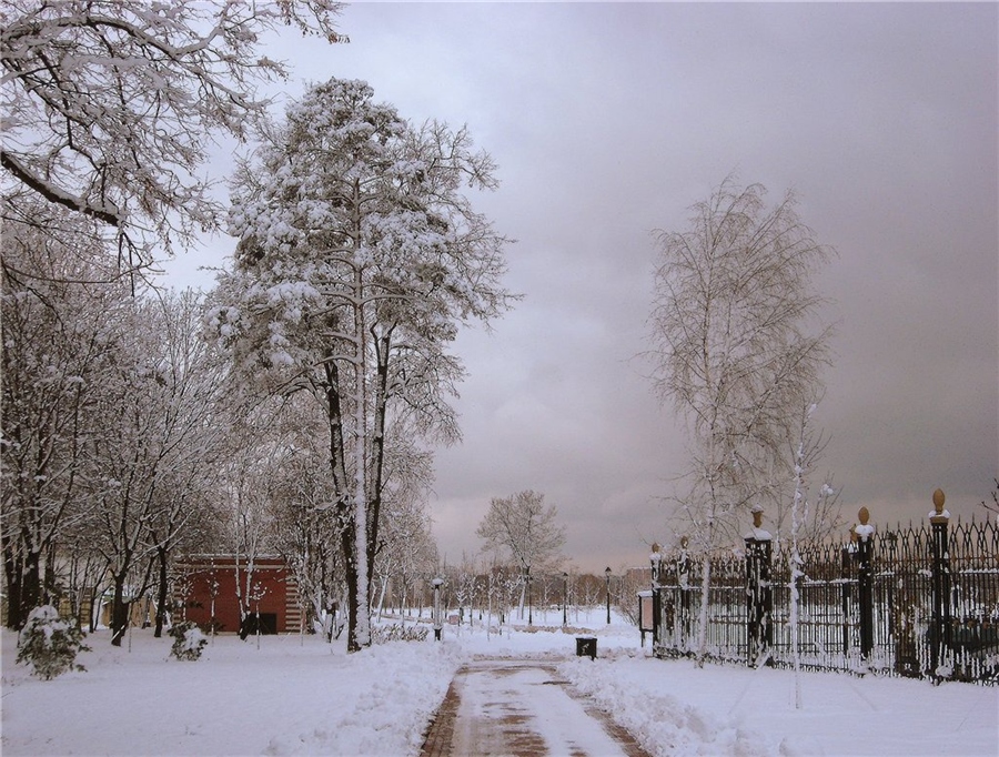 Фото жизнь
